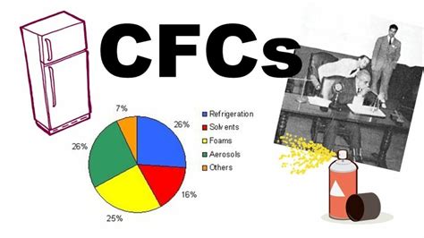CFCS Antworten