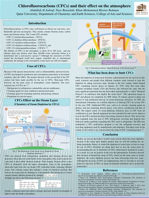 CFCS PDF