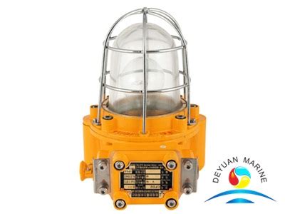 CFD2 Series Incandescent Explosion-proof Light - deyuanmarine