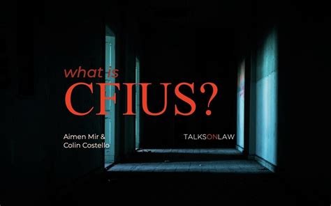 CFIUS; Foreign Persons Sample Clauses Law Insider