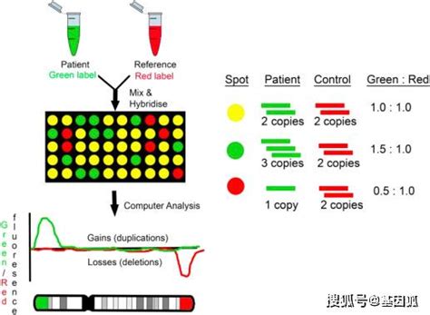 CG-GENE-10 Chromosomal Microarray Analysis (CMA) for …