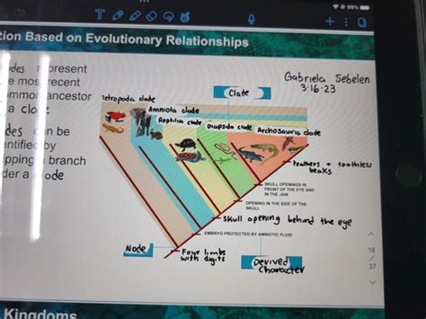Ch 19 Flashcards | Quizlet - wintechmobiles.com
