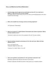 CH Cellular Respiration Group WS.docx - Course Hero - muktibox.com