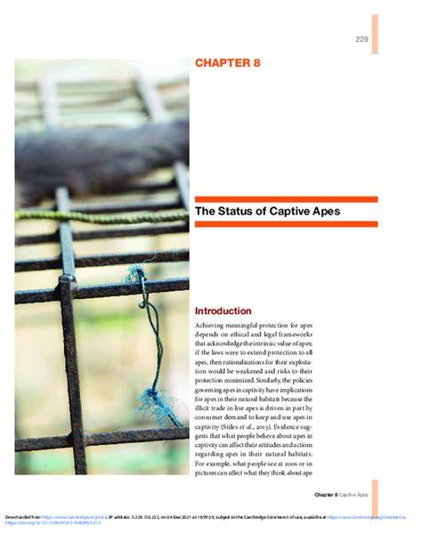 Ch. 8: The Welfare and Status of Captive Apes - raincitystudios.com