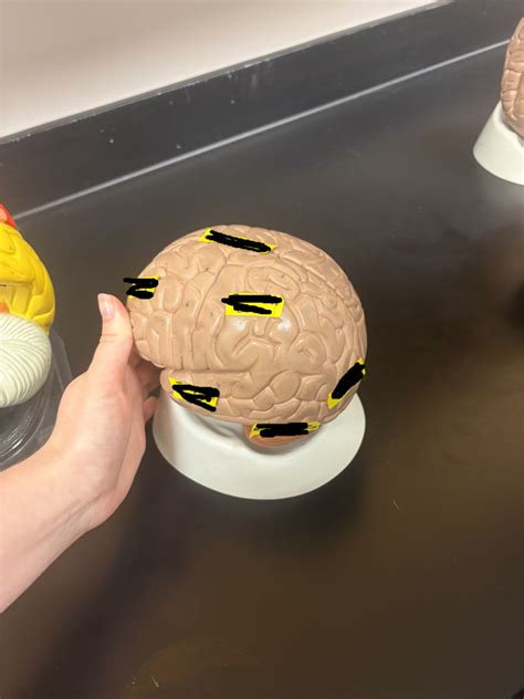 Ch.5 Flashcards | Quizlet - wintechmobiles.com