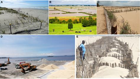Challenges and lessons learned from global coastal erosion protection ... - wintechmobiles.com