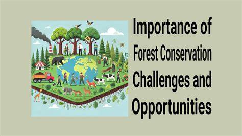 Challenges and opportunities for conservation of forest … - raincitystudios.com