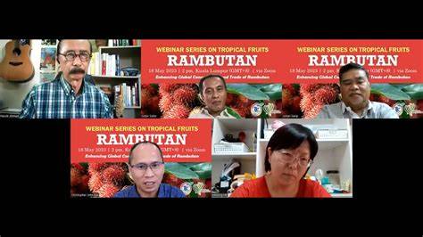 Challenges in developing rambutan as a popular and … - raincitystudios.com