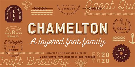 Chamelton Font | Webfont & Desktop | MyFonts - muktibox.com