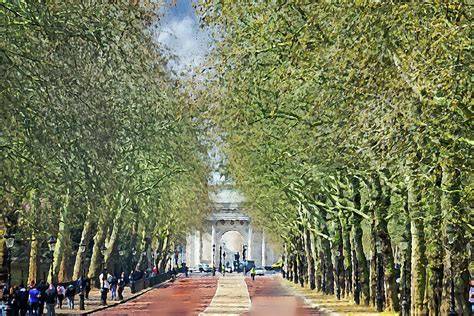 Champion Trees at Buckingham Palace - The … - raincitystudios.com