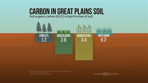 Changes in soil carbon stock after deforestation and subsequent ... - raincitystudios.com