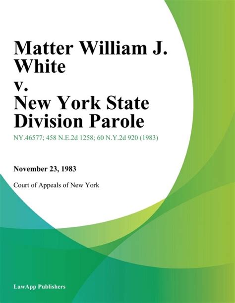 CHAPMAN v. NEW YORK STATE DIVISION FOR YOUTH III …