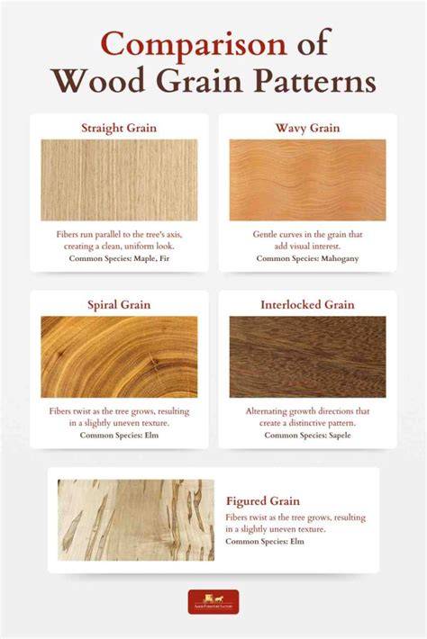 Chapter 01: Wood identification and pattern recognition - raincitystudios.com