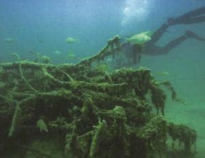 Chapter 10 : Artificial Reefs and Structures - Friends of … - muktibox.com