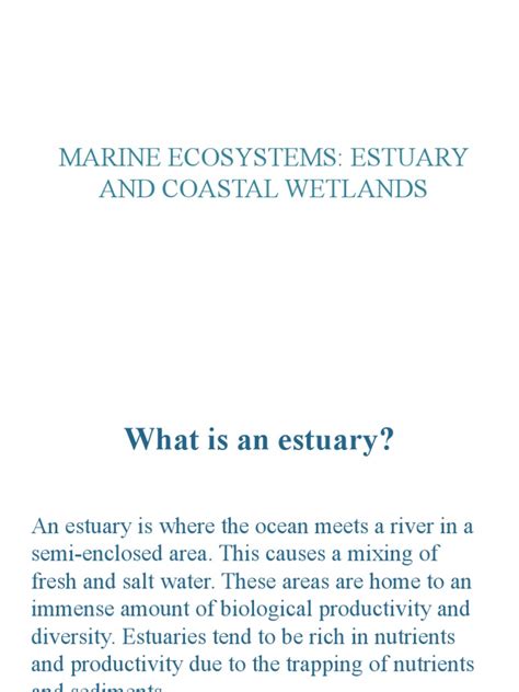 Chapter 2, Understanding Our Troubled Estuaries, Voluntary Estuary ... - raincitystudios.com