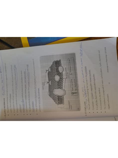 Chapter 2.PDF - RNGR - raincitystudios.com
