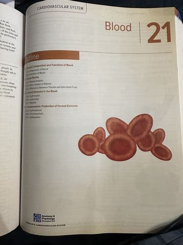 Chapter 21 Flashcards | Quizlet - wintechmobiles.com