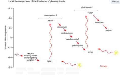Chapter 32 Sapling Flashcards | Quizlet - muktibox.com