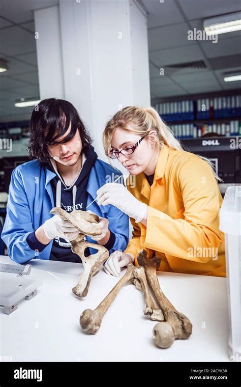 Chapter 5: Processing and Examining Human Remains - wintechmobiles.com