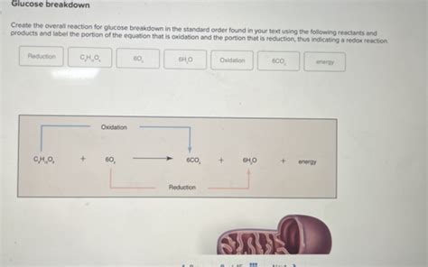 chapter 6 review Flashcards | Quizlet - wintechmobiles.com