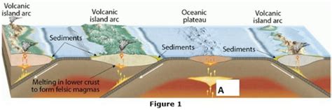 Chapter Twelve Flashcards | Quizlet - wintechmobiles.com