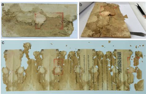 Characterisation and restoration of a severely damaged paper archive ... - muktibox.com