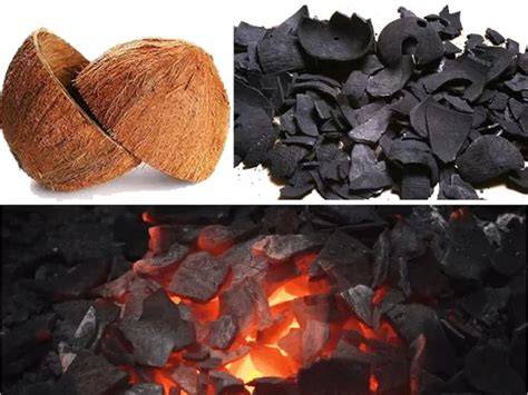 Charcoal-making resources - Virginia Tech - raincitystudios.com