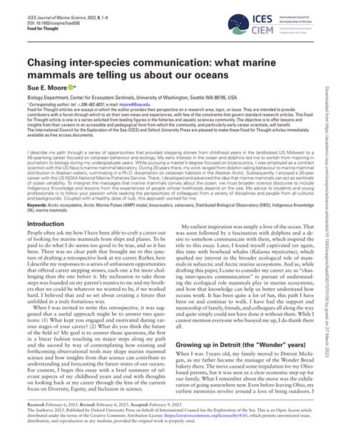 Chasing inter-species communication: what marine mammals are … - raincitystudios.com