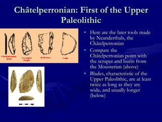 Chatelperronian Transition to Upper Paleolithic - wintechmobiles.com