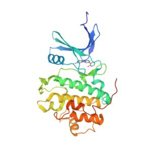 CHEK1 Gene - GeneCards CHK1 Protein CHK1 Antibody