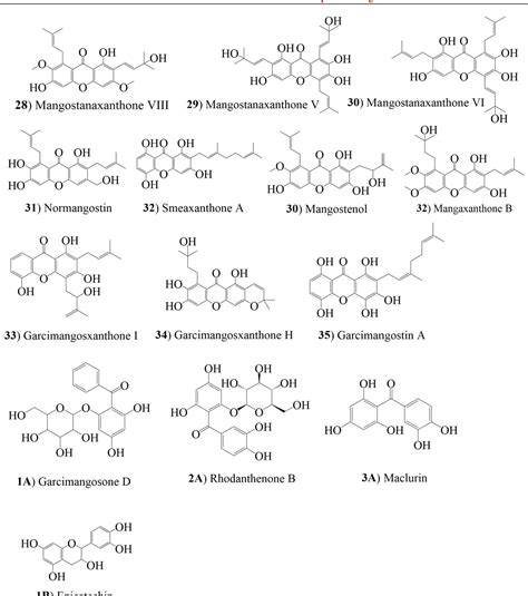 Chemical Compounds and Pharmacological Activities of Mangosteen ... - raincitystudios.com