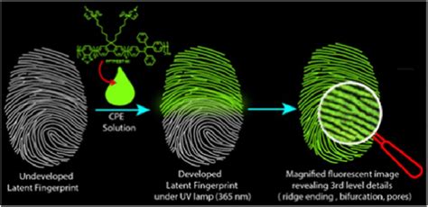 Chemical Visualization of Latent Prints | Office of Justice Programs - wintechmobiles.com