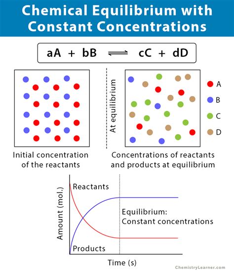 Chemistry Equilibrium & Membrane Transport Study Notes - wintechmobiles.com