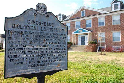 Chesapeake Biological Laboratory - University of Maryland Center for ... - raincitystudios.com