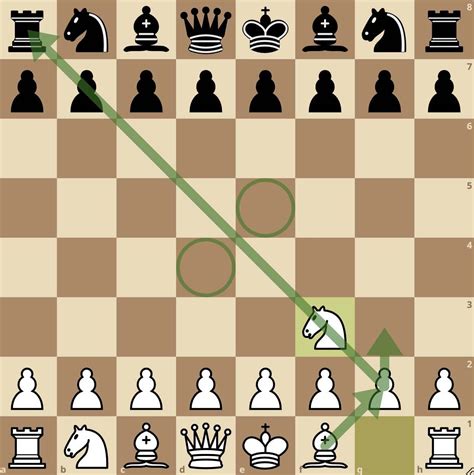 Chess Opening Explorer - coolestguyplanet.net