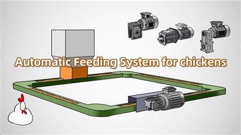 Chicken feeding systems - SKA Poultry Equipment - coolestguyplanet.net