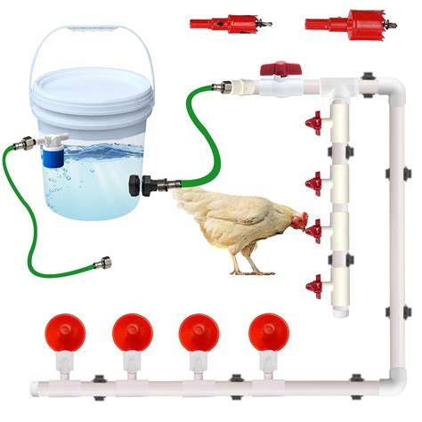Chicken Water Cup Waterer Kit for Poultry - Pack of 6 - raincitystudios.com