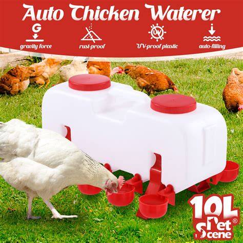 Chicken Waterer 10 Pack Automatic Gravity Fed Water Cups For Chickens ... - raincitystudios.com