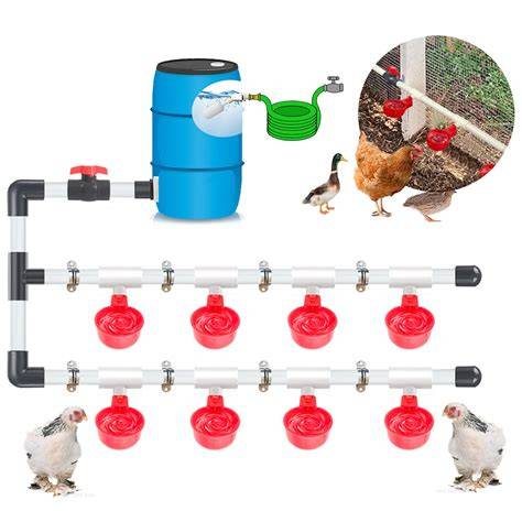 Chicken Waterer Automatic Poultry Birds Drinking Water Cups Red ... - raincitystudios.com