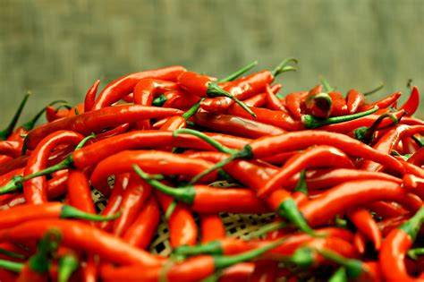 Chilli or garlic spray repellent - ABC Everyday - raincitystudios.com