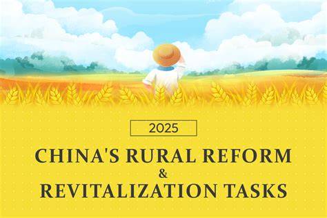 China's rural revitalization in the context of rural depopulation ... - raincitystudios.com