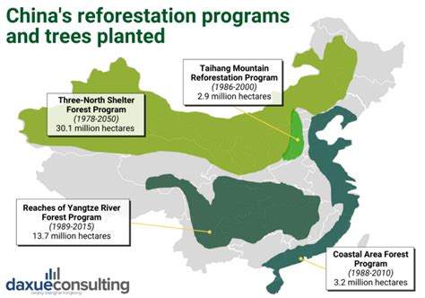 China’s Reforestation Journey - Word Forest - raincitystudios.com