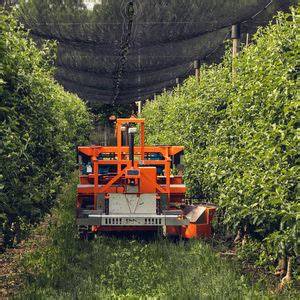 China Orchard Pruning Machine Market: Digital Modernization - raincitystudios.com