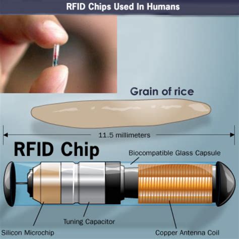 CHIP RFID