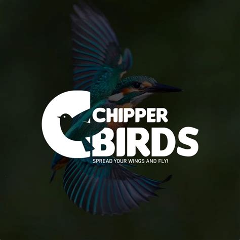 Chipper Birds - raincitystudios.com