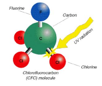 Chlorofluorocarbons and Ozone Depletion - American … - wintechmobiles.com