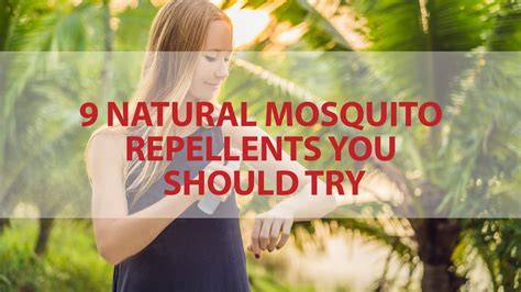 Choosing Natural Mosquito Repellents - Repelling … - raincitystudios.com