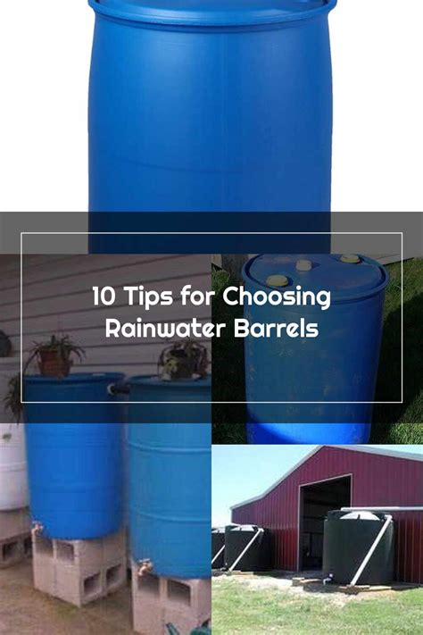 Choosing the Right Barrel for Rainwater Harvesting - raincitystudios.com