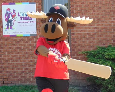 Choosing the Right Material for Your Custom Mascot Stat... - muktibox.com