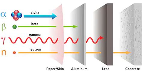 Choosing the Right Radiation Shielding Materials - wintechmobiles.com